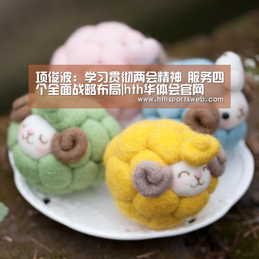 项俊波:学习贯彻两会精神 服务四个全面战略布局|hth华体会官网(图2) 华体会体育网站入口