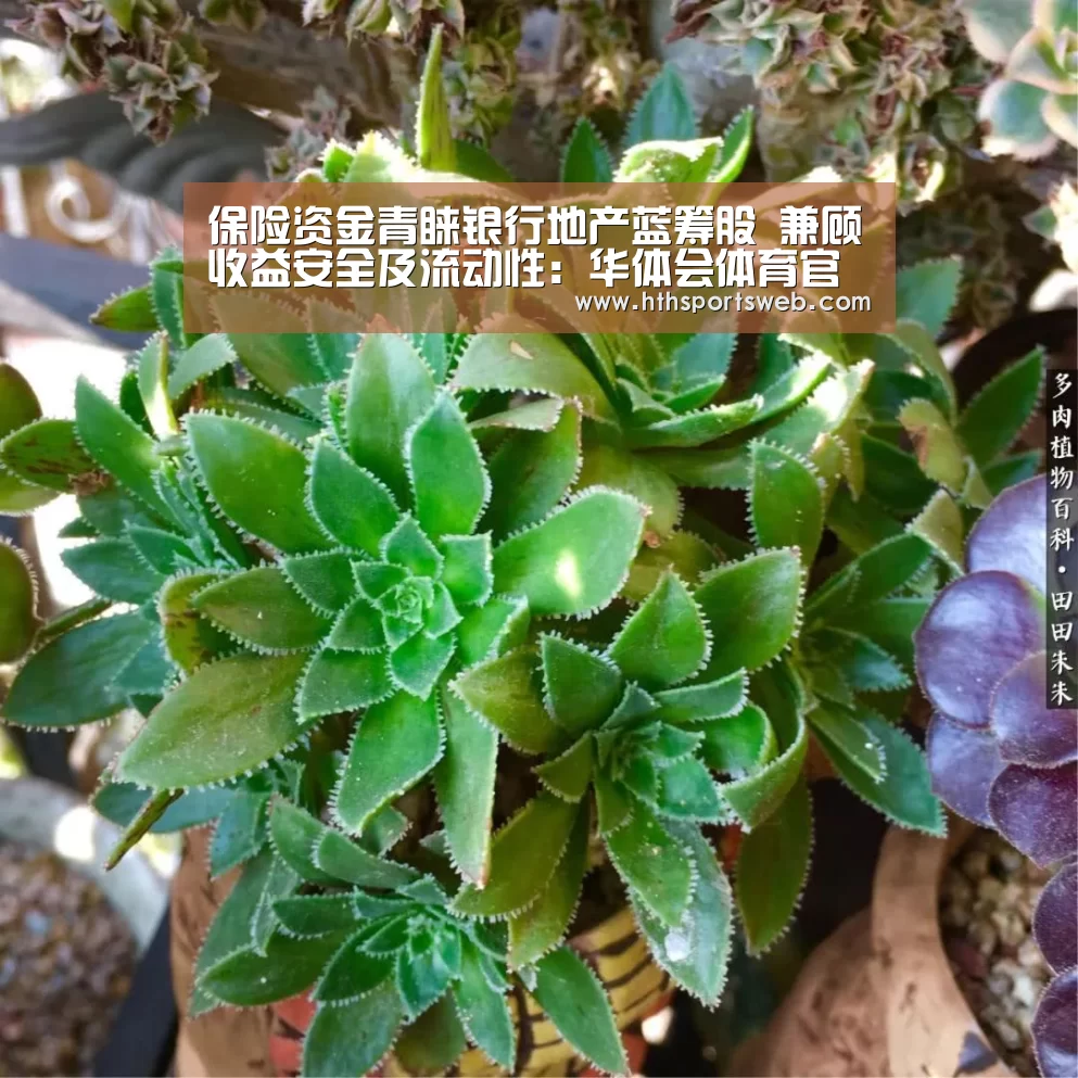 保险资金青睐银行地产蓝筹股 兼顾收益安全及流动性:华体会体育官方在线(图1) 华体会体育网站入口