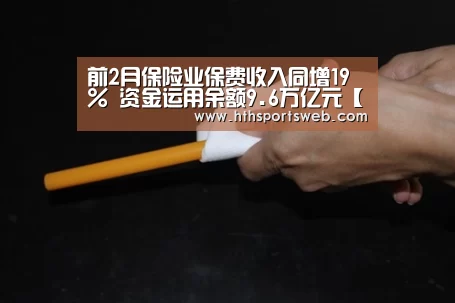 前2月保险业保费收入同增19% 资金运用余额9.6万亿元【华体会体育官方在线】(图3) hth华体会官网