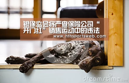 华体会体育网站入口