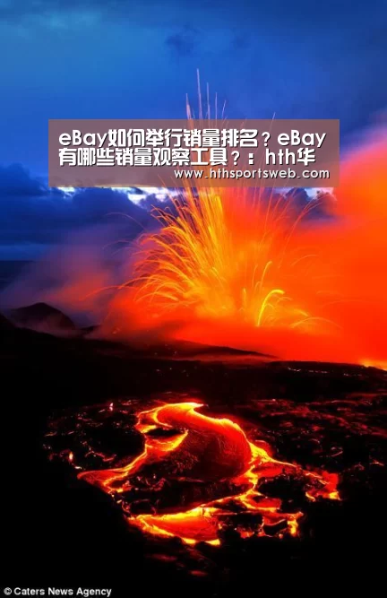 eBay如何举行销量排名?eBay有哪些销量观察工具?:hth华体会官网(图4) hth华体会官网