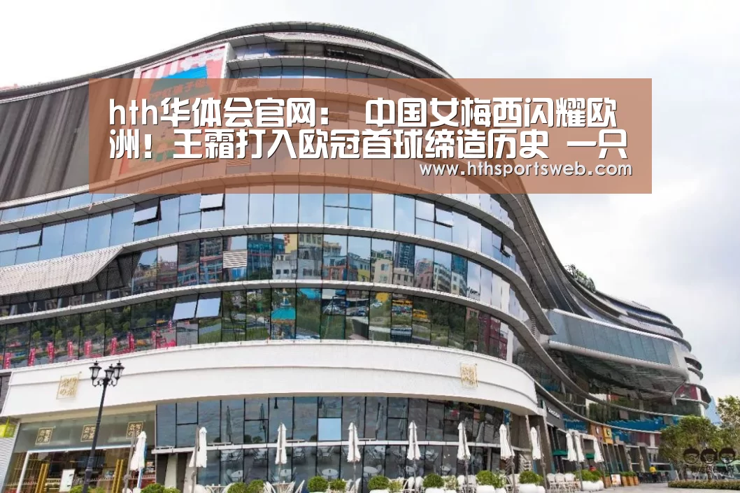 华体会体育网站入口